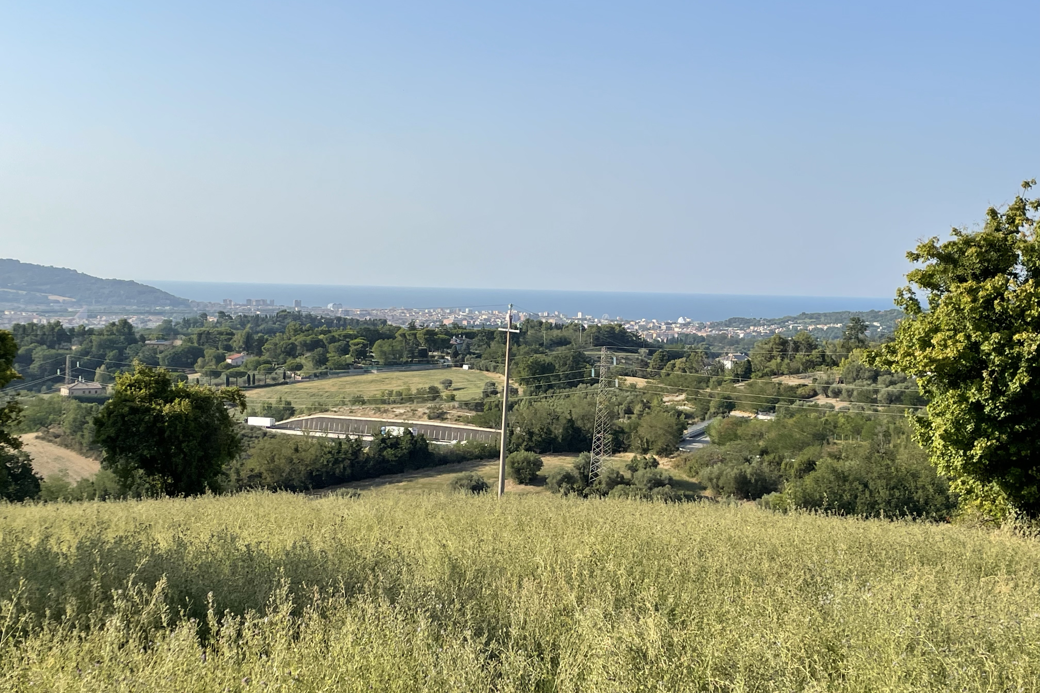 Vendita terreno agricolo di 7 ettari Pesaro - Zona Novilara/Candelara (TE100)